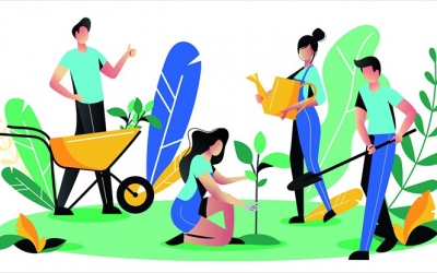 Jardin à reprendre !